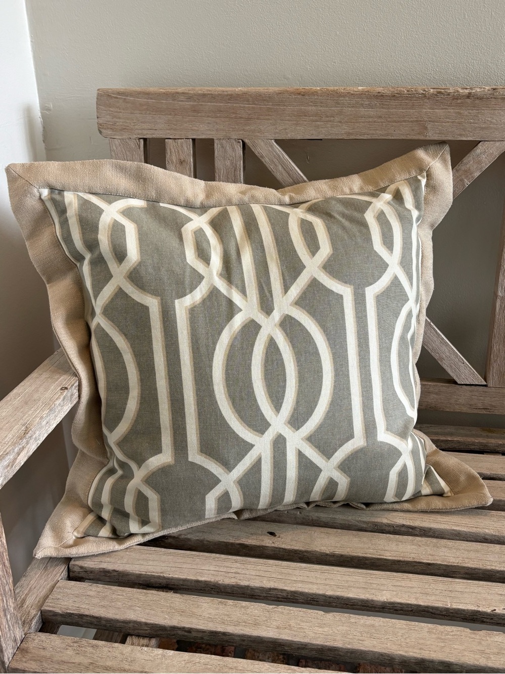 Cute throw pillow